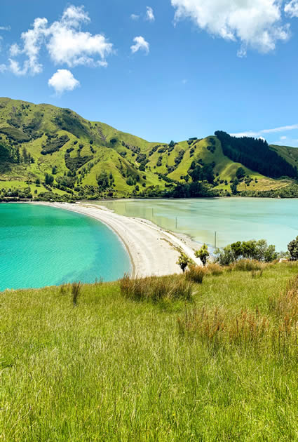 new zealand