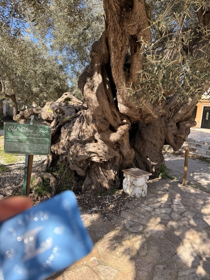 668473516_965346502668185_1100857067080791440_n